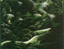 lrsEE046EarleEyvind-SantaBarbaraMountains. ���, ������