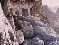 Parker, Ron - Valley Lookout (end. , 