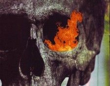 hermelin isc TW 71. Wuerz, ����