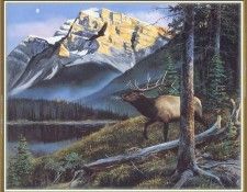 KissAndrew A Mountain Alphabet Elks We@ISC. , 
