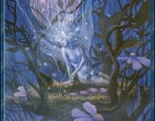David Delamare - Little Wings (Abraxsis). , 