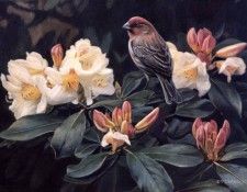 Terry Isaac - Garden Home, De. �����, �����