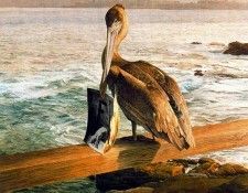 11180. , 