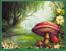 Philip Straub - Enchanted Forest (Abraxsis). , 