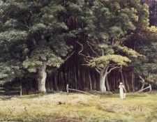 The Wooded Landscape c1900. ,  