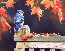 Bourdet, Susan - Autumn Splendor (end. Bourdet, ������