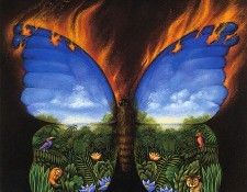 bs-ahp- Rafal Olbinski- Help Save Tropical Forest. Olbinski, 