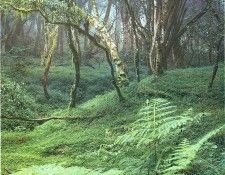 art 663. ������, �����