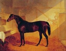Mr Johnstones Charles XII in a Stable. ,  