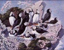43617. Tunnicliffe, 