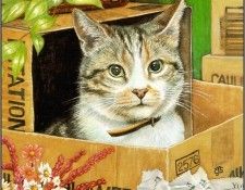 pa ChrissieSnelling Cats 06. , 