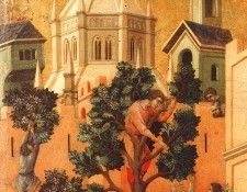 40427. Buoningegna,  