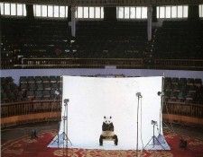 art 293. ������, ������