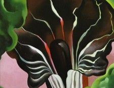 okeeffe02. OKeeeffe, 
