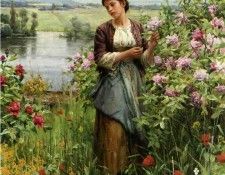 41215. ����, ������� �������