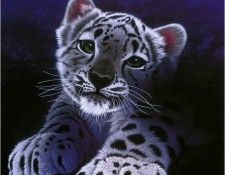 Please. Schimmel, ������