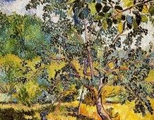 Goncharova Natalia Corner of a garden Sun. , 