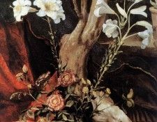 02stupp2. ����������, �������