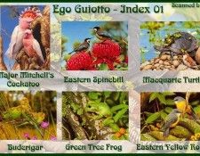 !pa EgoGuiotto Index01. Guiotto, 