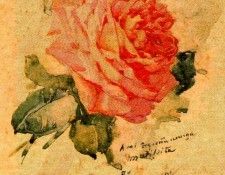 36711. ������ ���������