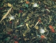 art 666. ������, �����