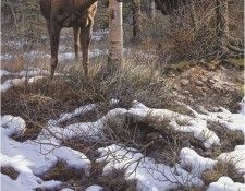 JohnSeerey-Lester Moose HiddenAdmirer ec. Seerey-������� ����