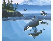 TimWistrom-Mt Baker cr. Wistrom, ���