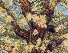 Toorop Charley Tree Sun. Toorop, 