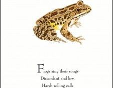 pa TonyOliver FrogsSingSongs 04a. , 