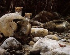 Verstappen Pieter Nature 64 Sun. Verstappen, �����