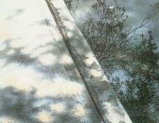 Hanks Steve The Sidewalk. , 