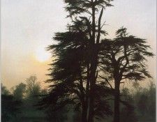 QMan AS EW 1848 Morning. Sudworth, 