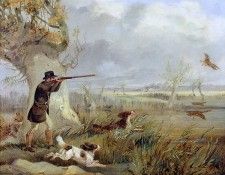 Duck Shooting. ,  