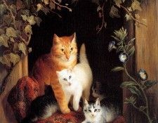 Ronner-Knip Henri�tte Nest with kittens Sun . Ronner-Knip, ���������