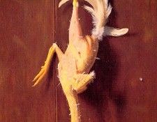 Plucked Clean. ,  