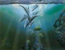 kb Nelson RL In Harmony. Nasmith, 