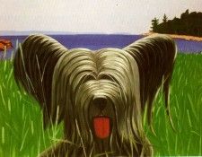 47388. ���, �����