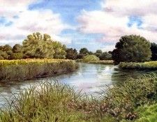 waters edge csg007 the river test. , 