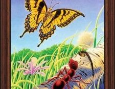 MS 30th 028 The Ant and the Butterfly. , 
