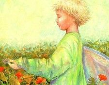 Cof 0014 sqs. �����, �����