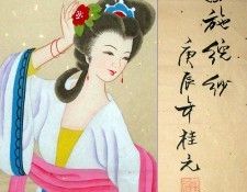 Shen Mei5g2617a. , 
