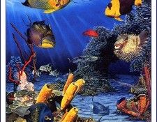bs-na- Ben Saturen- Caribbean Reef Fish. ����������, ���