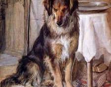 Steell Gourlay Patient wake Sun. Steell, �������