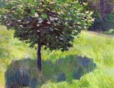 07117. -,  (1870-1905)