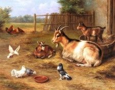 Hunt Edgar A farmyard Scene With Goats Chickens Doves. , 