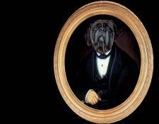 dog portraits csg013 o o wimbey. �������, ������