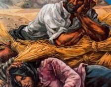 24077. ��������, ���� ����