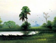 al black-illustrated landscapes csg023. , Al