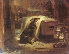 landseer2.   