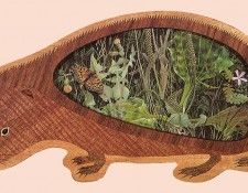 43663. �������, ���